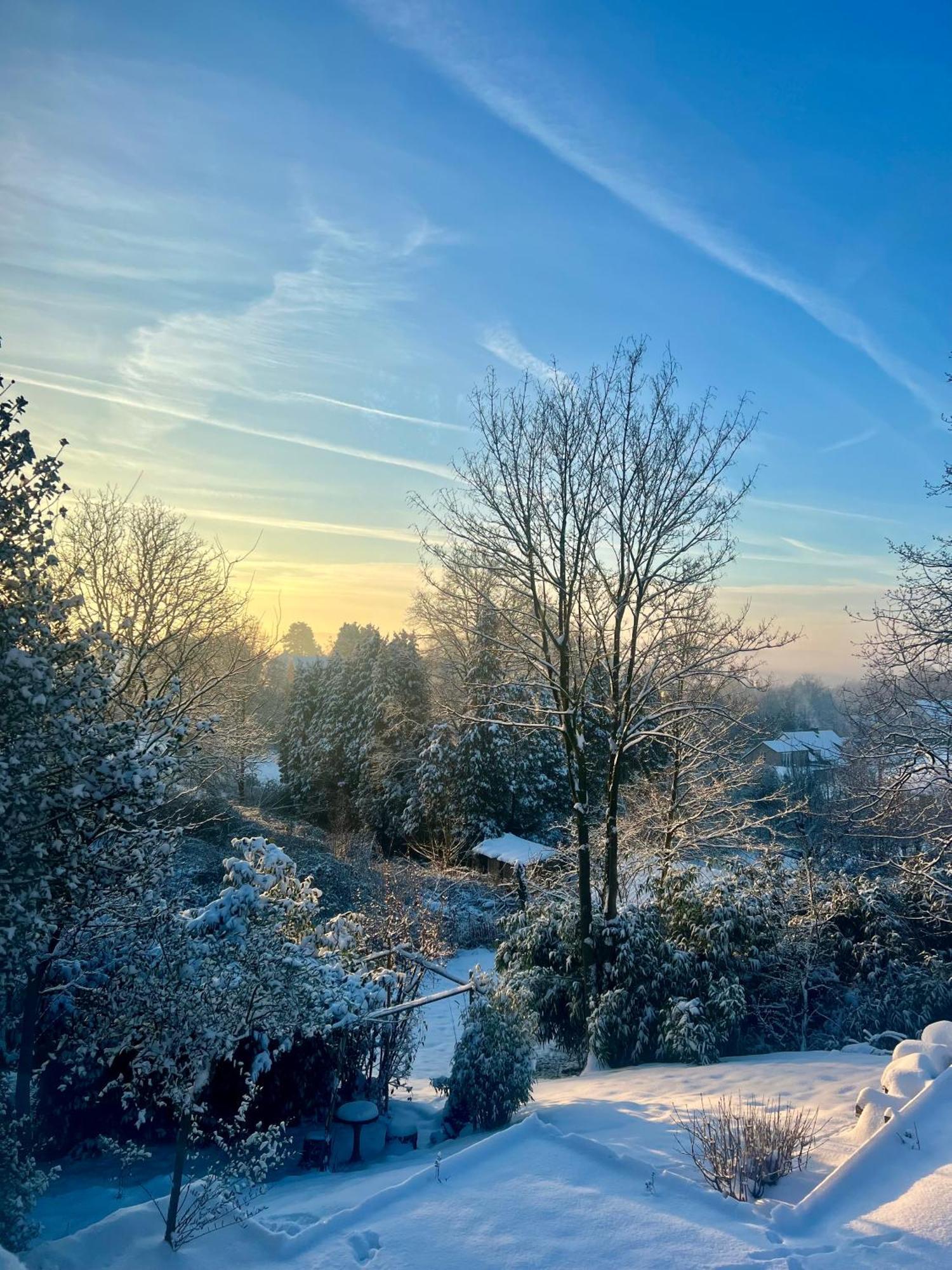 Bois De Hal Bed & Breakfast Braine-lʼAlleud Екстериор снимка